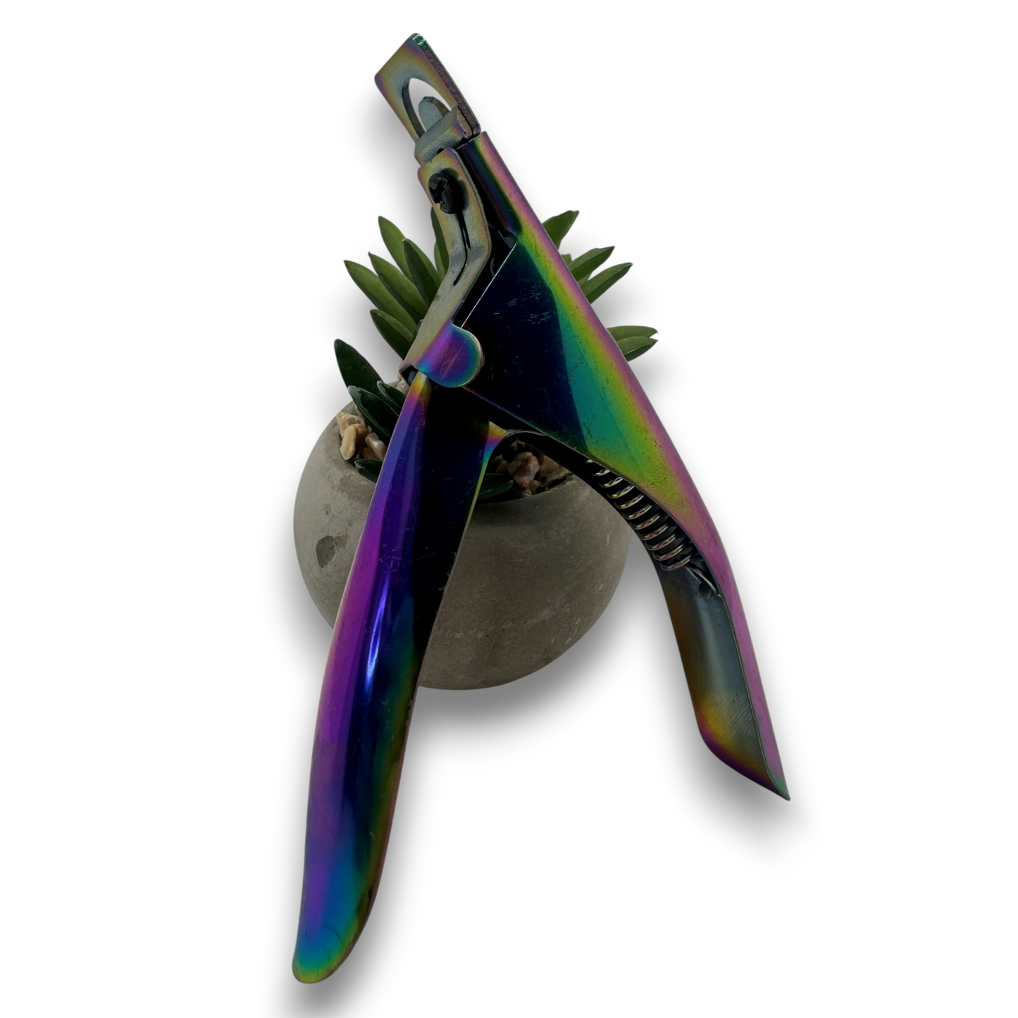 Coupe prothèses multicolore