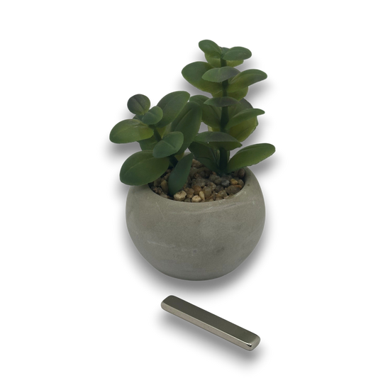 Aimant rectangle pour vernis gel Cat Eye