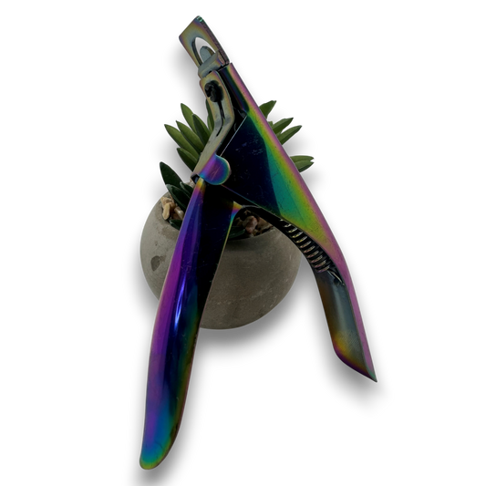 Coupe prothèses multicolore